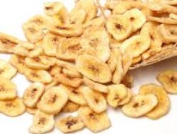 Cara Dapat Uang Online melalui Jasa Pembuatan Report QA Mingguan untuk Klien